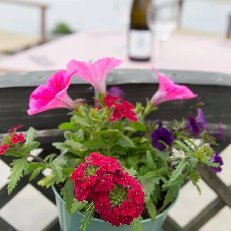 Kis Kacsa Apartman Apartment Eger